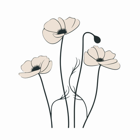 poppies. Hand drawn vector illustration on a white background.のイラスト素材