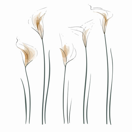 Set of hand drawn calla lily flowers. vector illustration.のイラスト素材