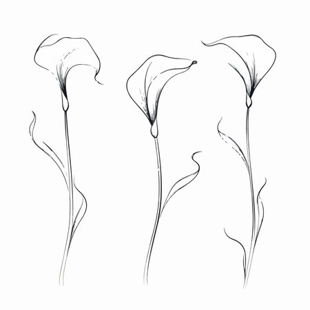 Set of calla lily flowers, sketch for your design. vector illustrationのイラスト素材