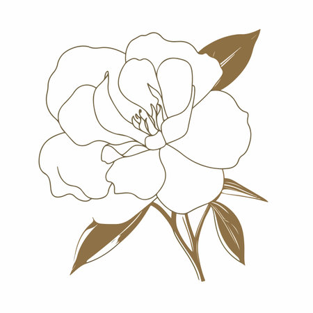 Beautiful hand drawn peony flower. vector illustration for your designのイラスト素材