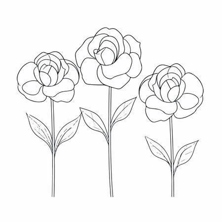 Set of contour drawing of roses on a white background. vector illustrationのイラスト素材