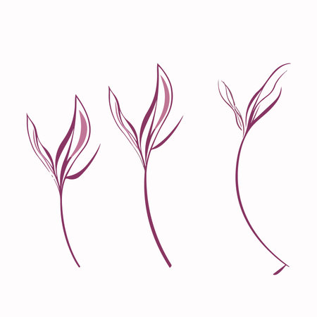 set of hand drawn floral elements. vector illustration for your design.のイラスト素材