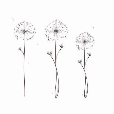 Dandelion seeds isolated on a white background. vector illustration.のイラスト素材