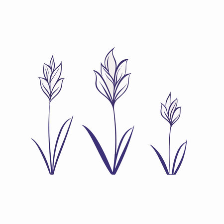 Set of outline hand drawn iris flowers. Vector illustration isolated on white background.のイラスト素材