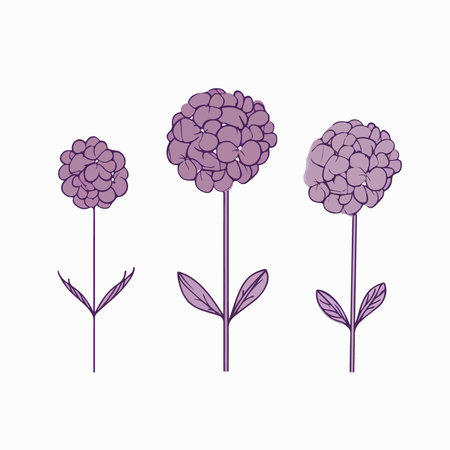 Set of purple flowers isolated on white background. hand drawn vector illustration.のイラスト素材