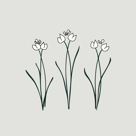 Set of spring flowers. Hand drawn vector illustration in sketch style.のイラスト素材