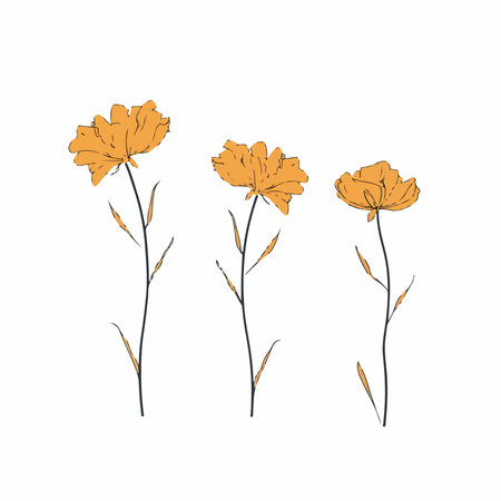 Set of hand drawn vector flowers. isolated on white background.のイラスト素材