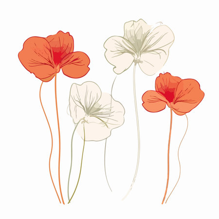 Set of nasturtium flowers. hand drawn vector illustration.のイラスト素材