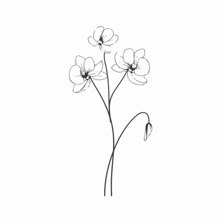 Hand drawn sketch of orchid flower. Vector illustration isolated on white background.のイラスト素材