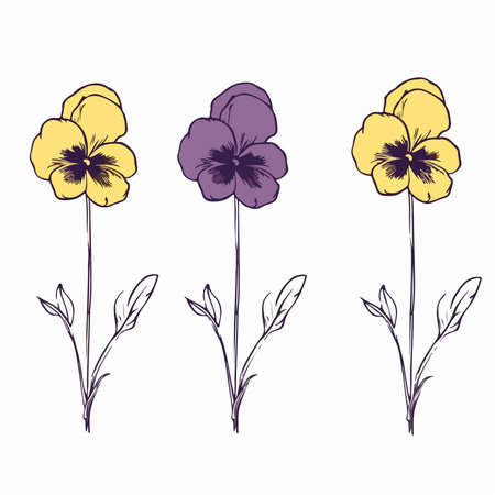 Set of hand drawn pansy flowers. Vector illustration isolated on white background.のイラスト素材