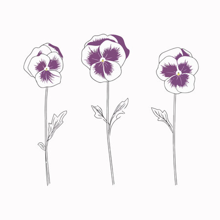 Set of pansy flowers. Hand drawn vector illustration in sketch style.のイラスト素材