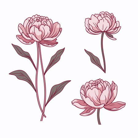 Set of hand drawn peony flowers on white background. vector illustration.のイラスト素材