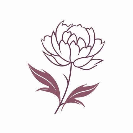 Peony flower vector illustration. Hand drawn peony flower icon.のイラスト素材