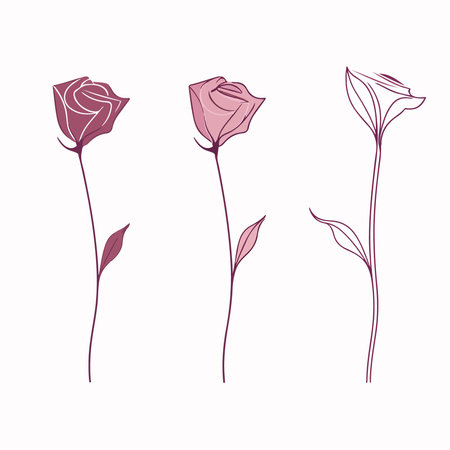 Set of rose flowers isolated on white background. hand drawn vector illustration.のイラスト素材