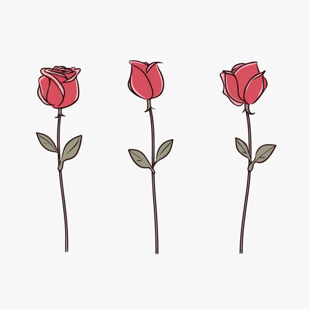Set of hand drawn red rose flowers isolated on white background. vector illustration.のイラスト素材
