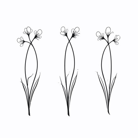 Vector set of hand drawn dandelions. Black and white illustration.のイラスト素材