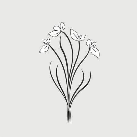 snowdrop flower vector illustration design template hand drawn line art styleのイラスト素材
