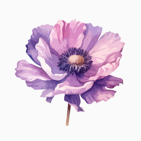 Hand drawn watercolor illustration of anemone. Isolated on white background.のイラスト素材