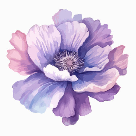 Hand drawn watercolor illustration of anemone. Isolated on white background.のイラスト素材
