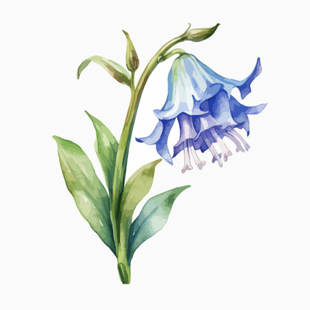 Bluebell. Watercolor hand drawn illustration. Isolated on white background.のイラスト素材