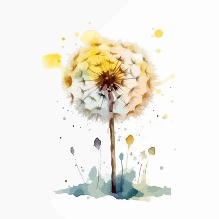 Abstract watercolor dandelion flower on white background. Vector illustration.のイラスト素材