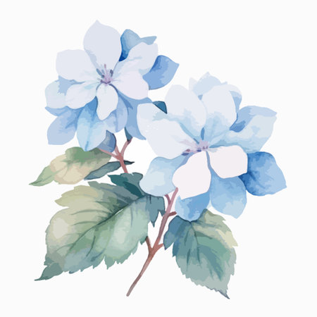 Watercolor blue hibiscus flowers on white background. Vector illustration.のイラスト素材