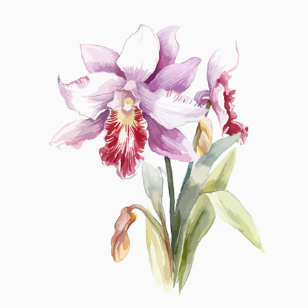 Watercolor orchid bouquet isolated on white background. Vector illustration.のイラスト素材