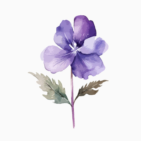 Watercolor illustration of a purple flower. Isolated on a white background.のイラスト素材
