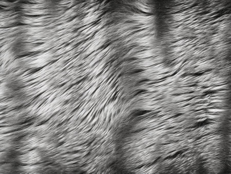 Texture of a fur coat of a wild animal. Abstract background for design.の写真素材