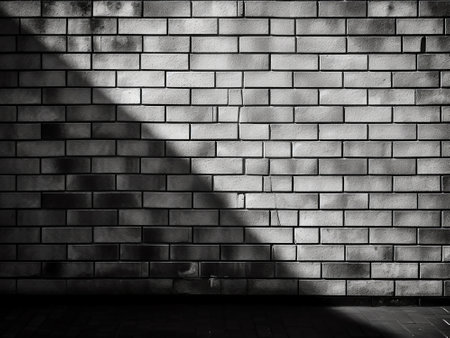 Black and white brick wall with shadow and sunlight. Abstract background.の写真素材