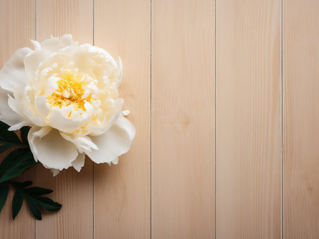 White peony flower on wooden background. Top view with copy spaceの写真素材