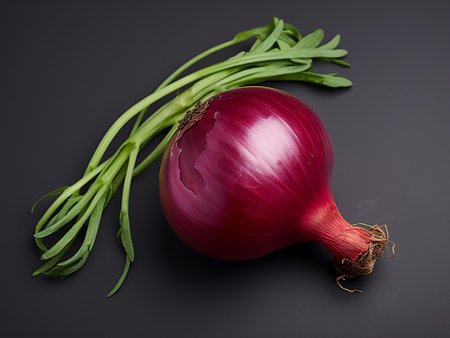 Red onion with green leaves on a black background. Studio shot.の写真素材