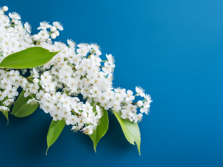 Bouquet of cherry blossoms on blue background. Spring flowers.の写真素材