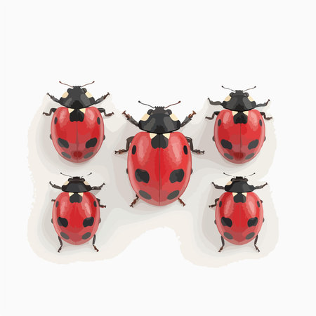 Ladybugs on a white background. Vector illustration in cartoon style.