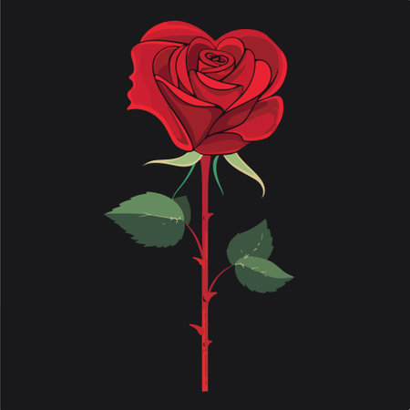 Red rose on a black background. Vector illustration for your design.のイラスト素材