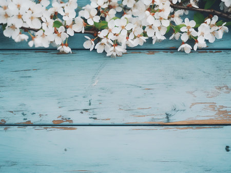 Spring blossom on blue wooden background. Top view with copy spaceの写真素材