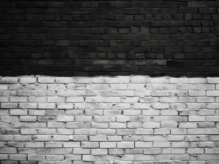 white brick wall texture background, black and white color tone style.の写真素材