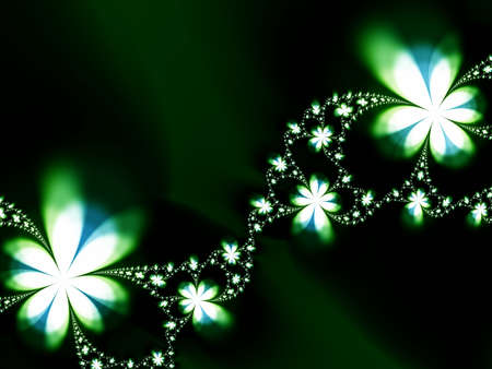 Wonderful flowers on a black backgroundの写真素材