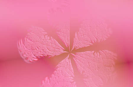 Abstract pink flowerの写真素材