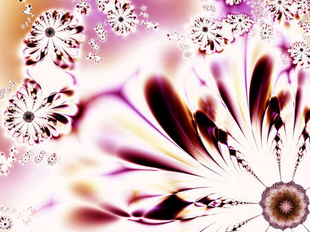 Beautiful flowersの写真素材