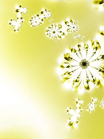 Beautiful flowersの写真素材