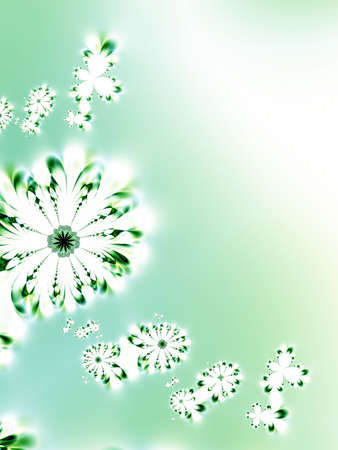 Beautiful flowersの写真素材