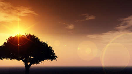 Beautiful sunsetの写真素材