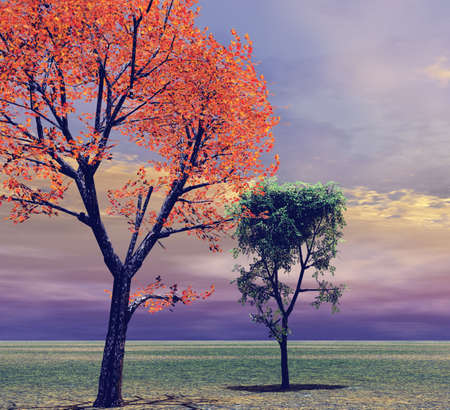 Autumn sceneryの写真素材