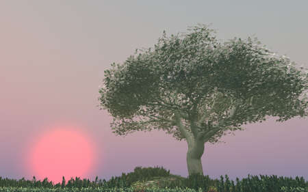 Beautiful sunsetの写真素材