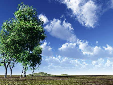Beautiful landscapeの写真素材
