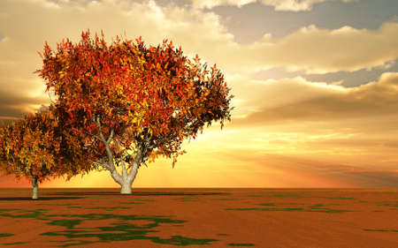 Autumn sceneryの写真素材