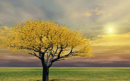 Autumn sceneryの写真素材