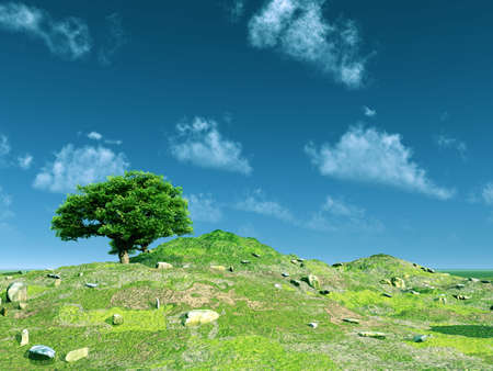 Beautiful landscapeの写真素材
