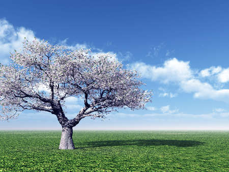 Beautiful landscapeの写真素材